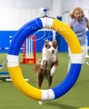 2025-7-13-July-Trial-640