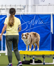 2025-7-13-July-Trial-658