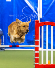 2025-7-13-July-Trial-66