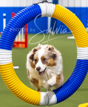 2025-7-13-July-Trial-661