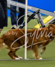 2025-7-13-July-Trial-669