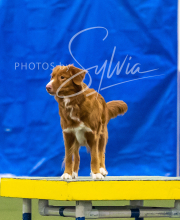 2025-7-13-July-Trial-677