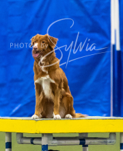 2025-7-13-July-Trial-678