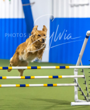 2025-7-13-July-Trial-68