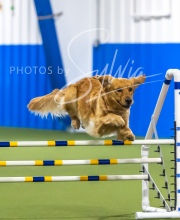 2025-7-13-July-Trial-70