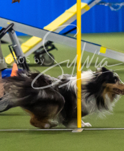 2025-7-13-July-Trial-728