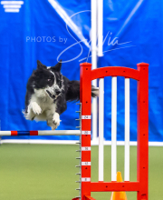 2025-7-13-July-Trial-77