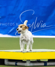 2025-7-13-July-Trial-792