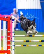 2025-7-13-July-Trial-81