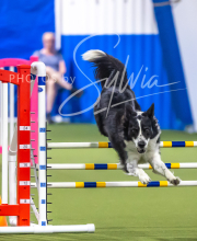 2025-7-13-July-Trial-82