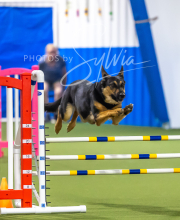 2025-7-13-July-Trial-85