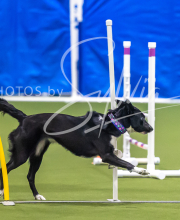 2025-7-13-July-Trial-89