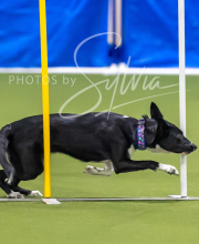 2025-7-13-July-Trial-91