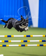 2025-7-13-July-Trial-99