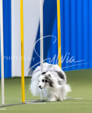 2025-June-Trial-1000