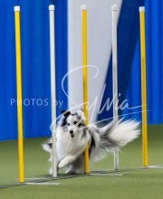 2025-June-Trial-1001