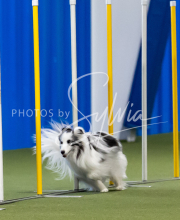 2025-June-Trial-1003