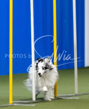 2025-June-Trial-1006