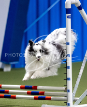 2025-June-Trial-1007