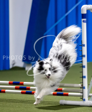 2025-June-Trial-1008