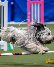 2025-June-Trial-1009