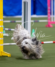 2025-June-Trial-1010