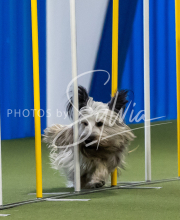 2025-June-Trial-1015