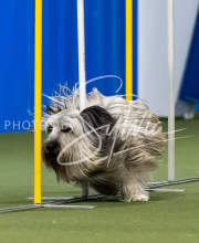 2025-June-Trial-1019