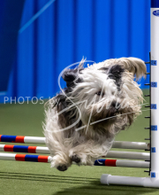 2025-June-Trial-1020