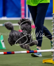 2025-June-Trial-1022