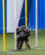 2025-June-Trial-1027