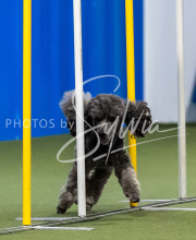 2025-June-Trial-1031