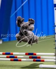 2025-June-Trial-1032