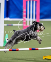 2025-June-Trial-1034