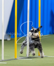 2025-June-Trial-1035