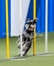 2025-June-Trial-1037