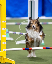 2025-June-Trial-1045