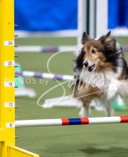 2025-June-Trial-1046