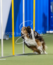 2025-June-Trial-1048