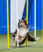 2025-June-Trial-1049