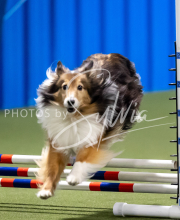 2025-June-Trial-1054