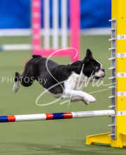 2025-June-Trial-1055