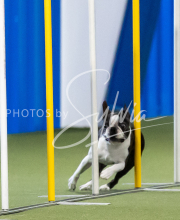 2025-June-Trial-1057