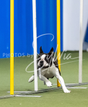 2025-June-Trial-1059