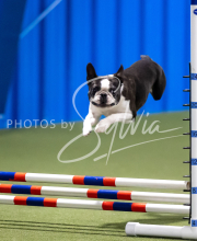 2025-June-Trial-1063