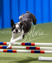 2025-June-Trial-1064