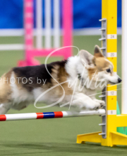 2025-June-Trial-1065