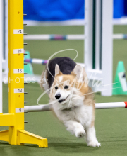 2025-June-Trial-1067