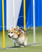 2025-June-Trial-1070