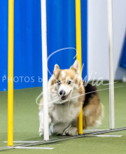 2025-June-Trial-1071